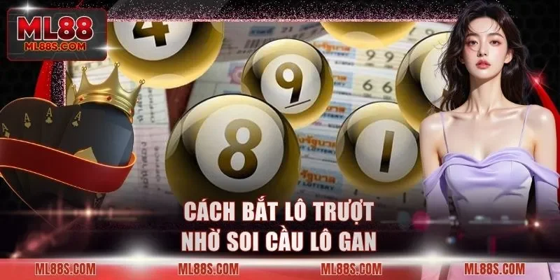 Cách bắt lô trượt nhờ soi cầu lô gan