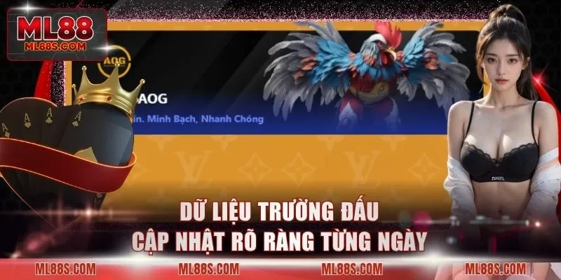 Dữ liệu trường đấu cập nhật rõ ràng từng ngày