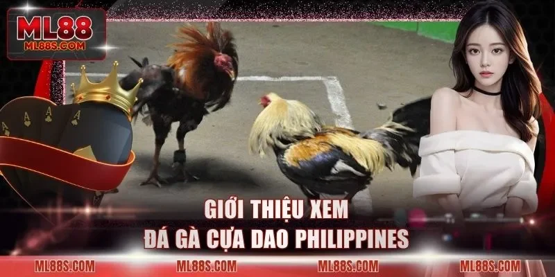 Giới thiệu xem đá gà cựa dao Philippines