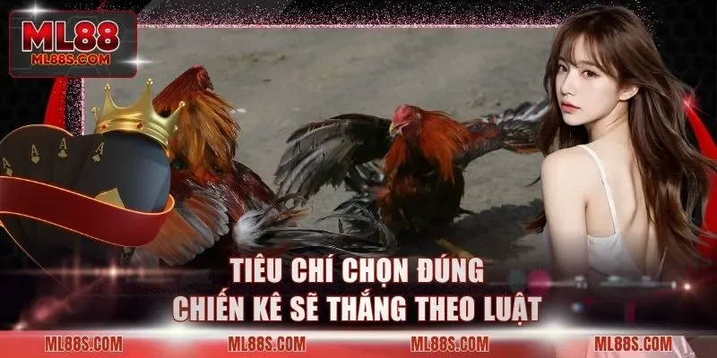 Tiêu chí chọn đúng chiến kê sẽ thắng theo luật