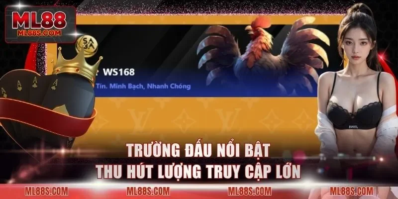 Trường đấu nổi bật thu hút lượng truy cập lớn