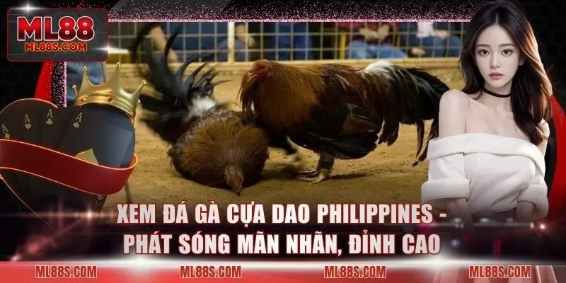 Xem Đá Gà Cựa Dao Philippines - Phát Sóng Mãn Nhãn, Đỉnh Cao